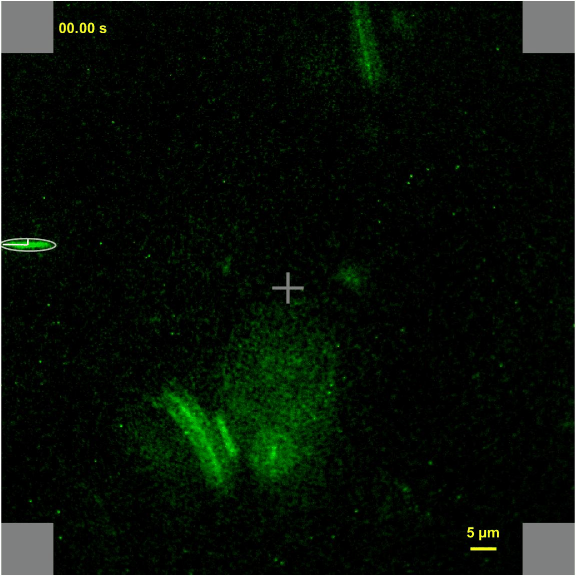 Single DNA molecule stretching in a microfluidic cross-slot