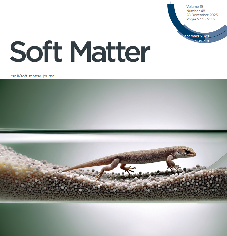 Soft Matter cover: capillary bulldozing during slow drainage