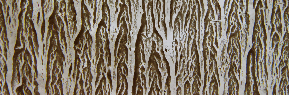 Branched flow pattern photographed in the laboratory